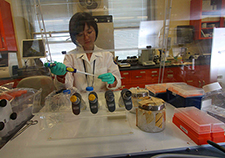Researchers find evidence of DNA damage in Vets with Gulf War illness