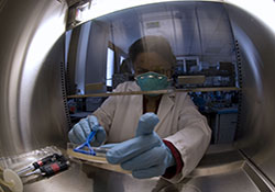 Dr. Suman Laal, a microbiologist, works at the Manhattan campus of the VA NY Harbor Healthcare System. The facility is one of many VA sites nationwide to    undergo renovations of its biomedical labs. (Photo by Lamel Hinton)