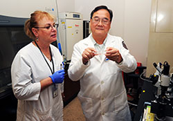   
      Dr. Suman Laal, a microbiologist, works at the Manhattan campus of the VA NY Harbor Healthcare System. The facility is one of many VA sites nationwide to
    undergo renovations of its biomedical labs. (Photo by Lamel Hinton) 