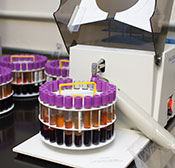 Genomics