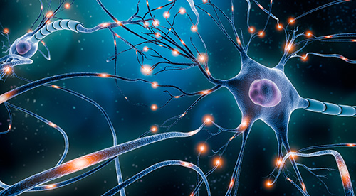 Biological effects of PTSD
