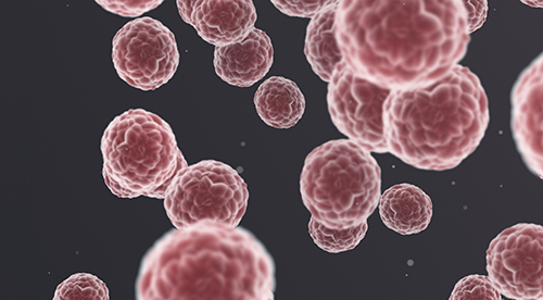Potential New Cancer Treatment