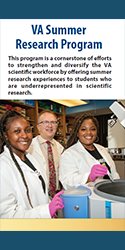 VA Summer Research Program Brochure