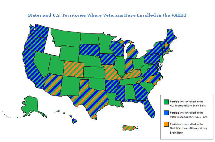 VABBB PARTICIPANTS IN THE U.S