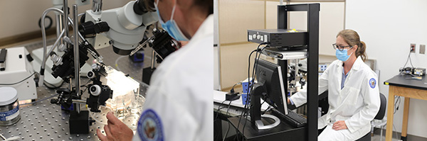 VA researcher Dr. Stacy Hussong uses electrophysiology techniques in her laboratory to measure synaptic changes in brain cells to support research into Alzheimer’s disease.